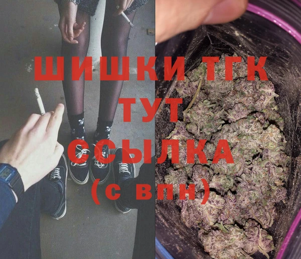 тгк Ельня