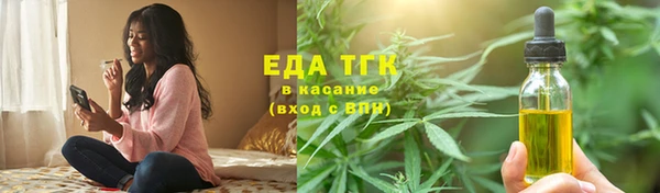 тгк Ельня